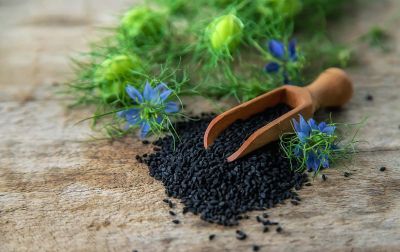 Черен кимион (Nigella sativa): древна сила, подкрепена от съвременната наука