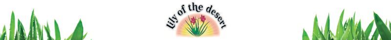 Lily of the Desert