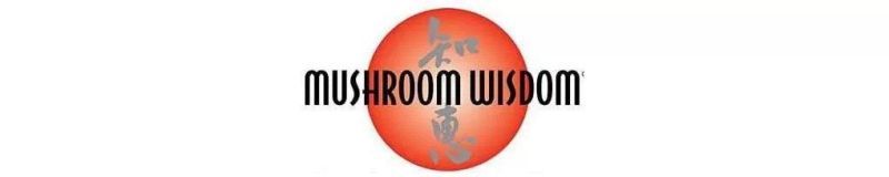 Mushroom Wisdom