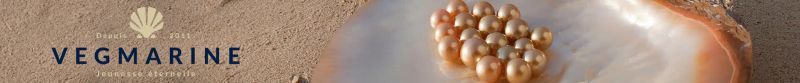 Vegmarine