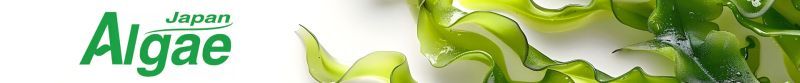 Japan Algae