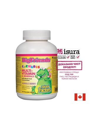 Multi-Vitamin & Minerals Big Friends® / Мултивитамини и минерали за деца х 60 дъвчащи таблетки с вкус на плодове от джунглата Natural Factors