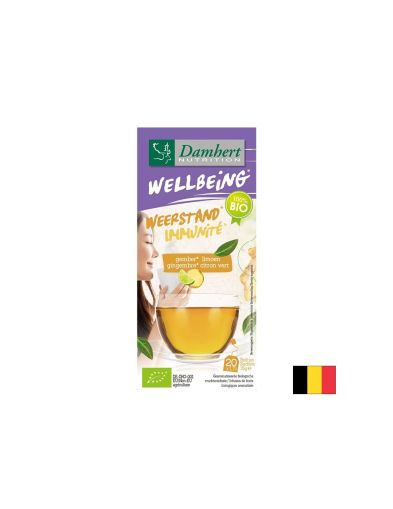 Чай за имунитет с джинджифил и лайм БИО, 20 филтърни пакетчета