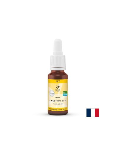 Цветна есенция Кестенова пъпка (Chestnut Bud) N°7 – Осъзнатост и учене от опита, 20 ml капки