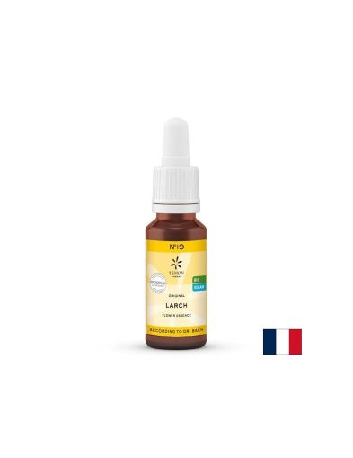 Цветна есенция Лиственица (Larch) N°19 – Увереност и вяра в собствените способности, 20 ml капки