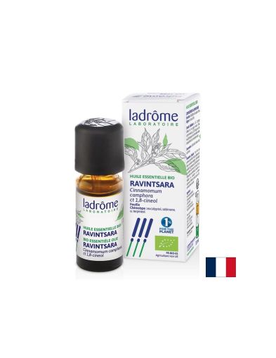 Камфорово дърво (Ravintsara) – За дихателен комфорт и релакс, етерично масло 10 ml