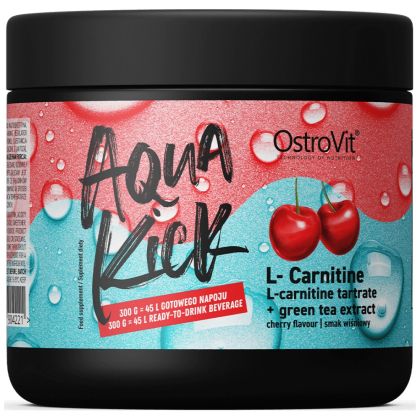 OstroVit Aqua Kick / Advanced Hydration with L-Carnitine & Green Tea [300 грама, 30 Дози]