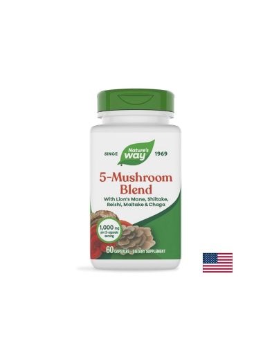 Медицински гъби 5 в 1 – Силен имунитет и повече енергия, 5-Mushroom Blend, 60 капсули