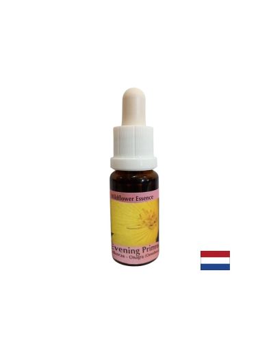 Есенция Вечерна иглика №50 – Вътрешен покой и усещане за защитеност, 15 ml капки