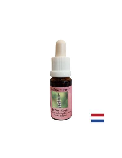 Есенция Мента №54 – Енергийна защита и психична яснота, 15 ml капки