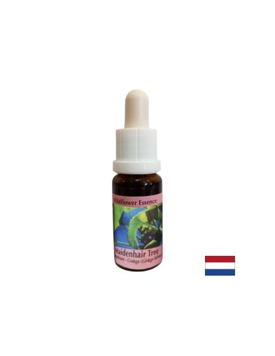 Есенция Гинко билоба №45 – Вътрешна устойчивост и емоционална сила, 15 ml капки