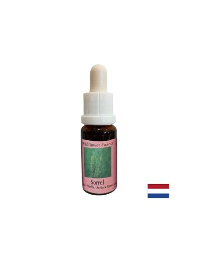 Есенция Киселец №56 – Жизнена сила и вътрешна издръжливост, 15 ml капки