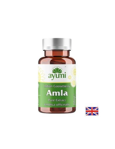 Амла – Имунна защита, храносмилателен комфорт и антиоксидантна подкрепа, 520 mg, 60 капсули