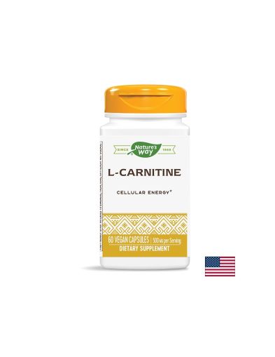 L-Carnitine/ Л-Карнитин 500 mg х 60 капсули Nature’s Way