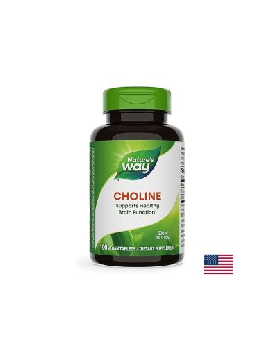 Choline/ Холин 500 mg х 100 таблетки Nature’s Way