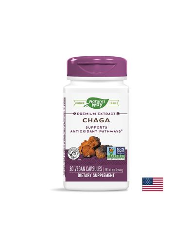 Chaga / Чага 480 mg x 30 капсули Nature’s Way