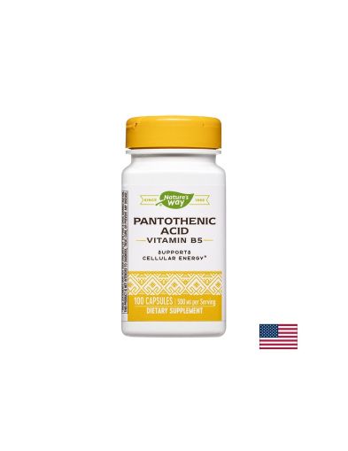 Pantothenic Acid (Vitamin B5) - Пантотенова киселина (Витамин В5), 100 капсули Nature’s Way