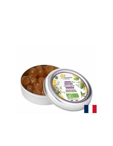 Масла от мента и лимон & екстракт от копър - храносмилане - Подкрепа за стомашно-чревния тракт, Желирани таблетки, 30 g Fleurance Nature