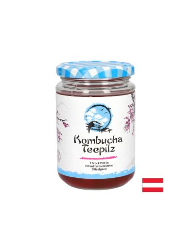 Подсилва имунитета Комбуча Чаена гъба с ферментирал плодов чай 200 ml