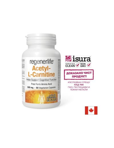 Ацетил-Л-Карнитин Regenerlife™ - Енергия, концентрация и метаболитна подкрепа, 90 капсули