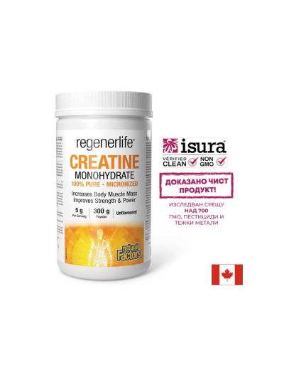 Креатин монохидрат (микронизиран) Regenerlife™ - Сила, издръжливост и мускулна ефективност, 5000 mg х 300 g прах