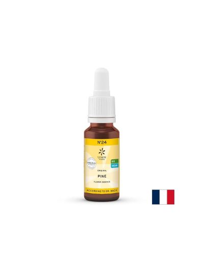 Цветна есенция Бял бор (Pine) N°24 – Самоприемане и освобождаване от вина, 20 ml капки