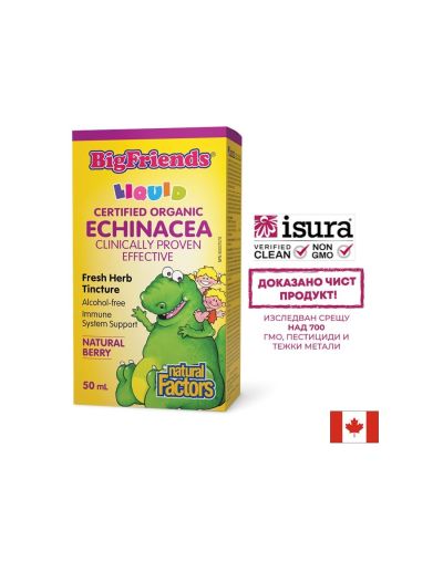 Ехинацея BigFriends® – Имунна подкрепа за деца и възрастни, 1000 mg, 50 ml