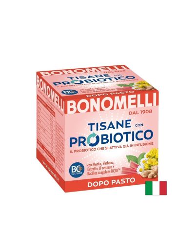 Билков чай (мента, лайка, джинджифил) с пробиотик – За добро храносмилане след хранене, 10 пакетчета