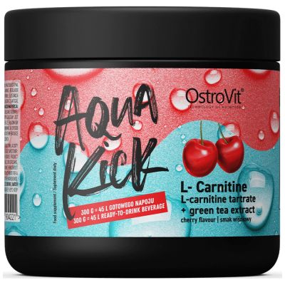 OstroVit Aqua Kick / Advanced Hydration with L-Carnitine & Green Tea [300 грама, 30 Дози]