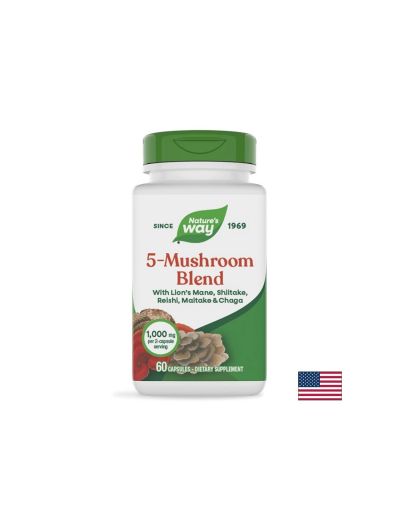 Медицински гъби 5 в 1 – Силен имунитет и повече енергия, 5-Mushroom Blend, 60 капсули