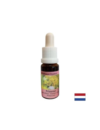 Есенция Иглика №57 – Творчески поток и вдъхновение, 15 ml капки