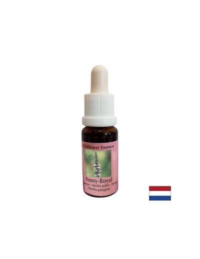 Есенция Мента №54 – Енергийна защита и психична яснота, 15 ml капки