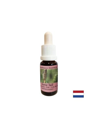 Есенция Полски хвощ №41 – Вътрешна сила и емоционален баланс, 15 ml капки