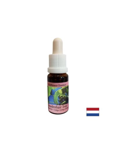 Есенция Гинко билоба №45 – Вътрешна устойчивост и емоционална сила, 15 ml капки