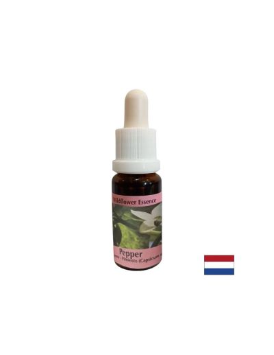 Есенция Пипер №51 – Сетивна яснота и енергийна активация, 15 ml капки