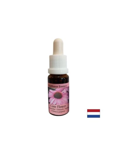 Есенция Ехинацея №55 – Емоционално пречистване и енергийна защита, 15 ml капки