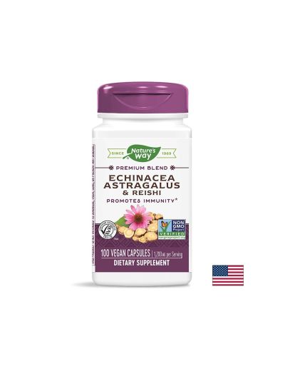 Echinacea Astragalus & Reishi/ Ехинацея, Астрагал & Рейши х 100 капсули Nature’s Way