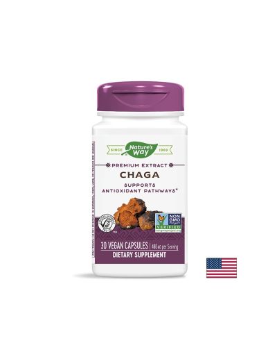 Chaga / Чага 480 mg x 30 капсули Nature’s Way