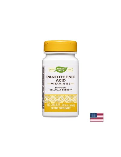 Pantothenic Acid (Vitamin B5) - Пантотенова киселина (Витамин В5), 100 капсули Nature’s Way