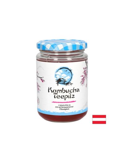 Подсилва имунитета Комбуча Чаена гъба с ферментирал плодов чай 200 ml