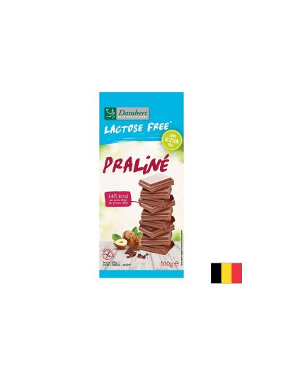 Шоколад Пралин (без лактоза), 100 g