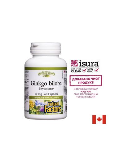 Памет и концентрация - Гинко билоба Фитозоми, 60 mg x 60 капсули